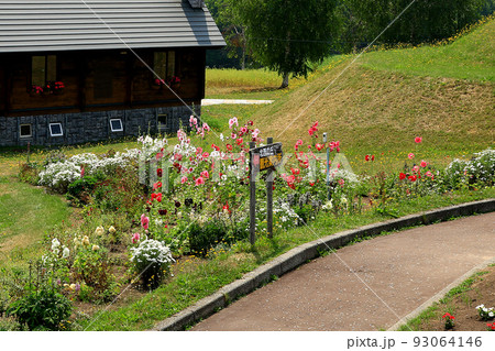 北海道　北西の丘展望台 93064146