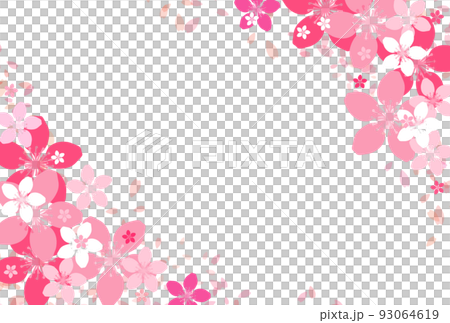 櫻花盛開 櫻花盛開 93064619