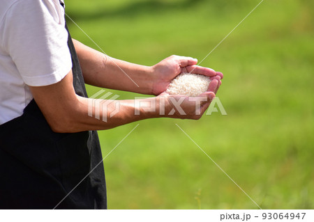 収穫　新米　白米　米　千枚田　手元　農作業 93064947