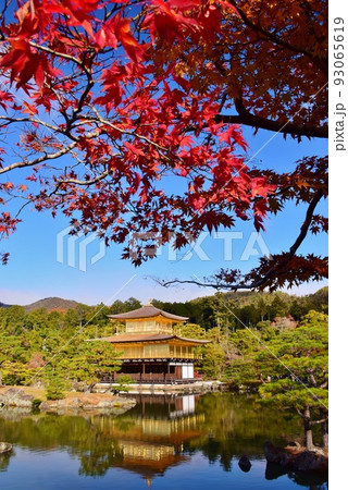 秋の京都・金閣寺 93065619