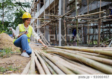 Engineers are checking the quality of bamboo before using at the outdoors construction site Engineers are checking the quality of bamboo before using at the outdoors construction site 93066407
