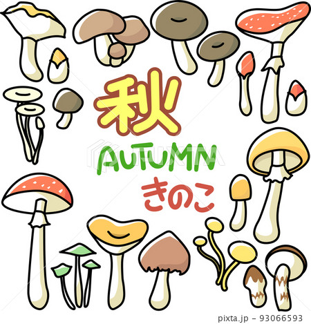 秋イメージのキノコのセット 秋イメージのキノコのセット 93066593