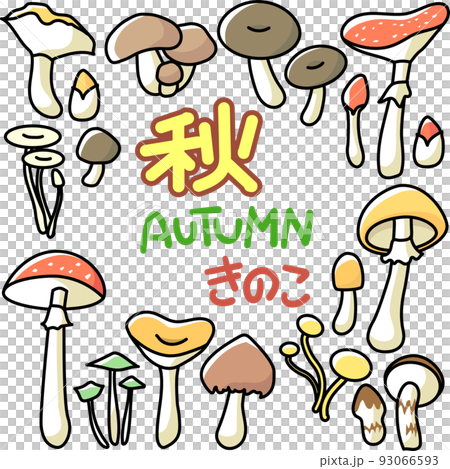 秋イメージのキノコのセット 秋イメージのキノコのセット 93066593