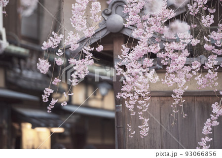 春の京都の風景 春の京都の風景 93066856