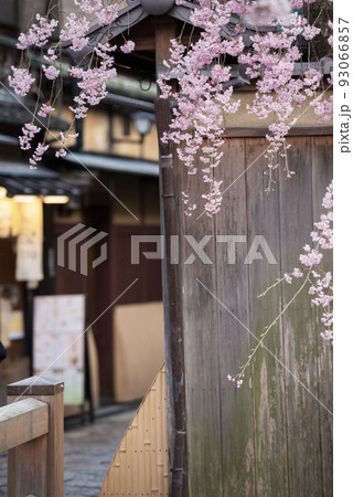 春の京都の風景 93066857