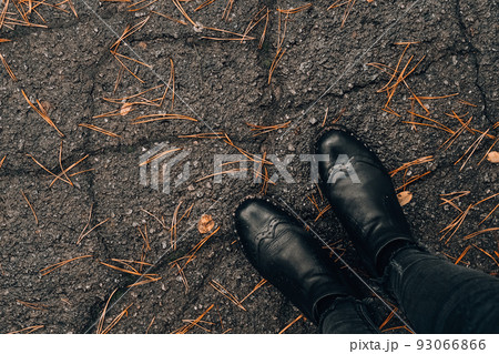 Legs of a young girl in rubber boots. Woman walking in the woods. Rainy autumn weather. Tree needles 93066866