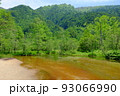 上高地　初夏の田代池 93066990