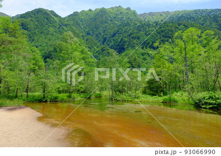 上高地 初夏の田代池 上高地 初夏の田代池 93066990