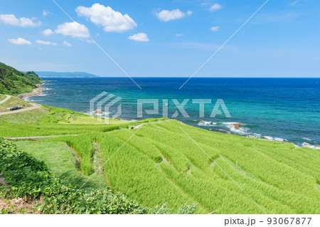 夏の白米千枚田　石川県輪島市　8月 93067877