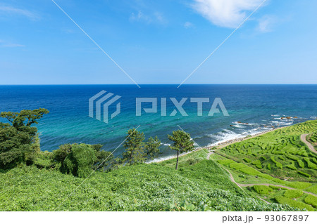 夏の白米千枚田　石川県輪島市　8月 93067897