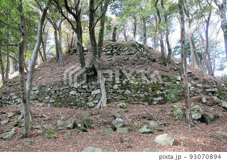 高峰城 高峰城 93070894