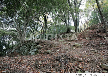 高峰城 93070905