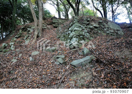 高峰城 高峰城 93070907