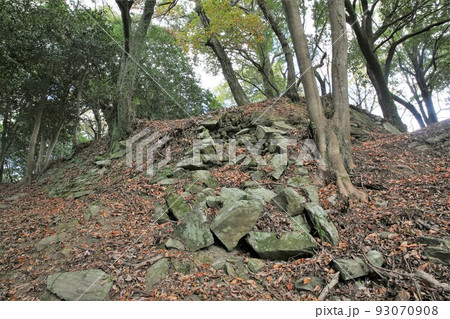 高峰城 高峰城 93070908