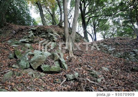 高峰城 高峰城 93070909