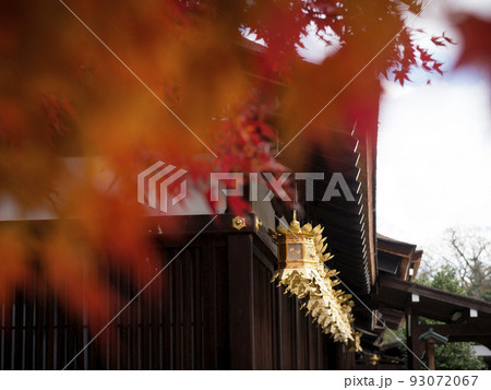 下鴨神社の紅葉　京都府・京都市左京区 93072067