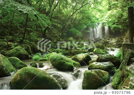 乙女の滝 栃木県 乙女の滝 栃木県 93073796
