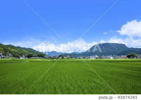 玖珠盆地の水田と伐株山 93074265