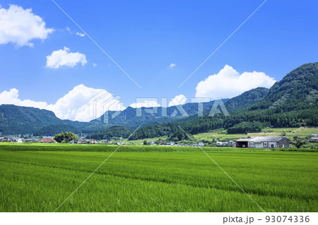 玖珠盆地の水田と里山風景 玖珠盆地の水田と里山風景 93074336