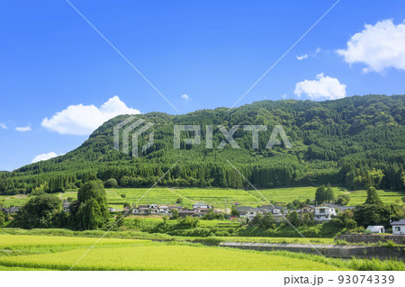 玖珠盆地の水田と里山風景 玖珠盆地の水田と里山風景 93074339