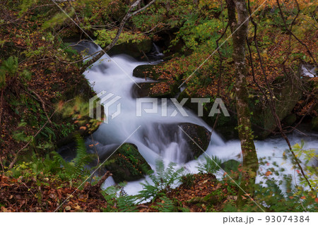紅葉の奥入瀬渓流 93074384
