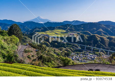 （静岡県）茶畑越しに富士山　早朝 93074538