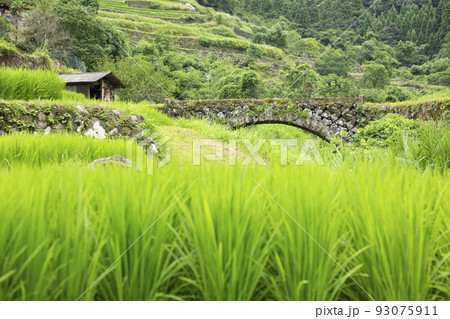 院内　両合棚田と両合川橋 93075911