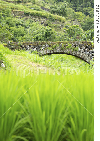 院内　両合棚田と両合川橋 93075912