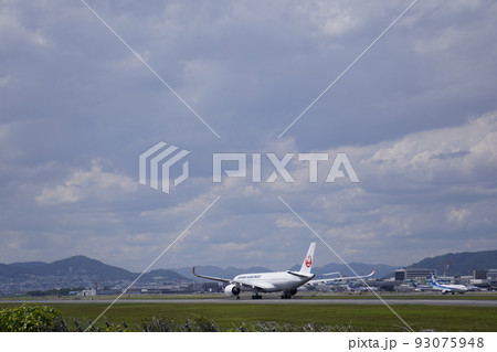 旅 旅 93075948