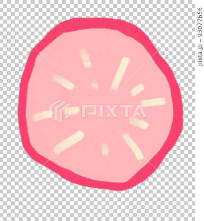Radish sliced breakfast food set elements hand drawn doodle minimal style pastel color illustration 93077656
