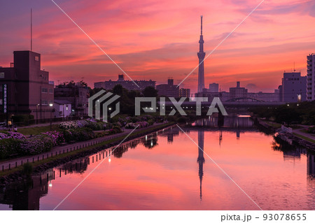 《東京都》東京の風景・スカイツリーの夕暮れ 93078655