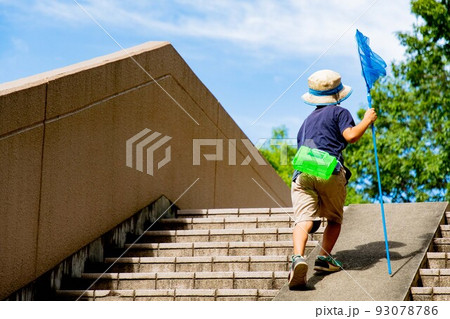 夏休みの小学生 93078786