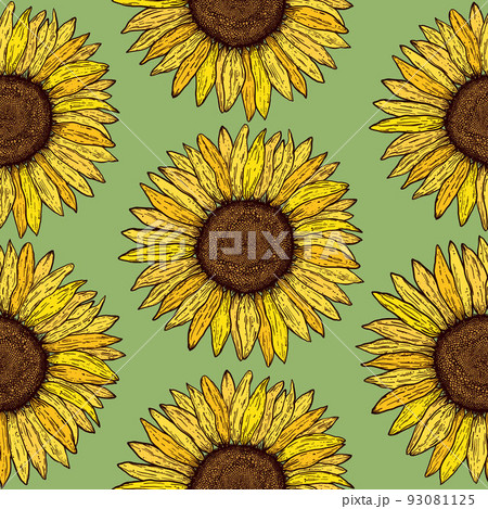 Seamless pattern with sunflowers 93081125