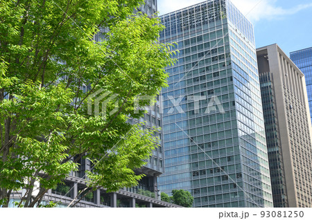 東京駅周辺のビルと街路樹の風景 東京駅周辺のビルと街路樹の風景 93081250