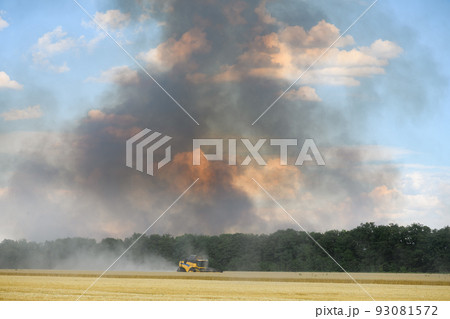 Combine harvester against the backdrop of black smoke rising into the sky. 93081572