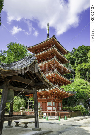 明王院　鐘楼と五重塔　広島県福山市 93083407