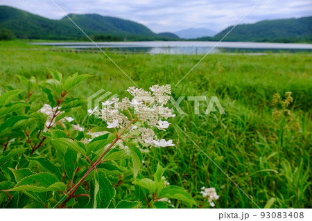 雄国沼 雄国沼 93083408