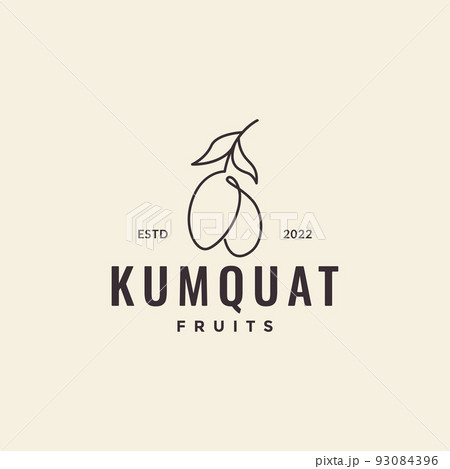 fruit kumquat logo design vector fruit kumquat logo design vector 93084396