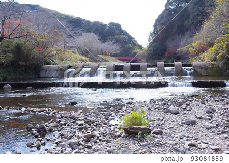 万之瀬川の秋 岩屋公園 万之瀬川の秋 岩屋公園 93084839