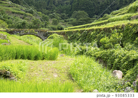 院内　両合棚田と両合川橋 93085333