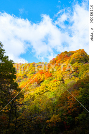 紅葉の山 93086116