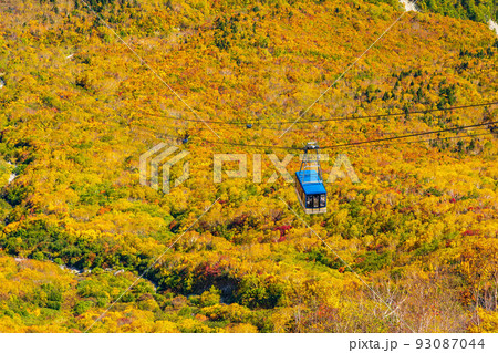秋の立山黒部アルペンルート　錦秋の立山ロープウェイ 93087044