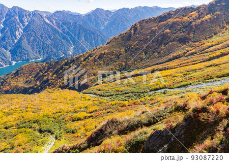 秋の立山黒部アルペンルート 大観峰からの紅葉と大パノラマ 秋の立山黒部アルペンルート 大観峰からの紅葉と大パノラマ 93087220