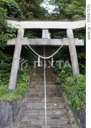 南さつま市　大山祗神社の参道 93087370