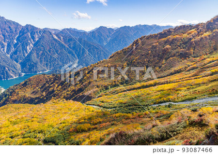 秋の立山黒部アルペンルート 大観峰からの紅葉と大パノラマ 秋の立山黒部アルペンルート 大観峰からの紅葉と大パノラマ 93087466