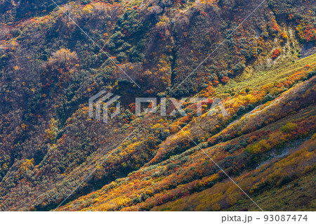秋の立山黒部アルペンルート　大観峰からの紅葉と大パノラマ 93087474