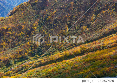 秋の立山黒部アルペンルート 大観峰からの紅葉と大パノラマ 秋の立山黒部アルペンルート 大観峰からの紅葉と大パノラマ 93087476