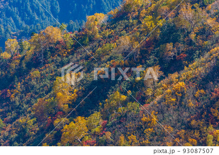 秋の立山黒部アルペンルート　大観峰からの紅葉と大パノラマ 93087507