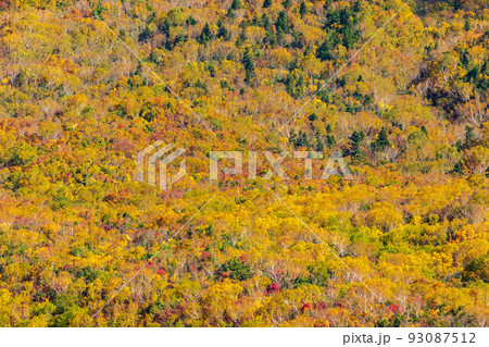 秋の立山黒部アルペンルート 大観峰からの紅葉と大パノラマ 秋の立山黒部アルペンルート 大観峰からの紅葉と大パノラマ 93087512