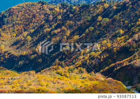 秋の立山黒部アルペンルート 大観峰からの紅葉と大パノラマ 秋の立山黒部アルペンルート 大観峰からの紅葉と大パノラマ 93087513